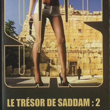 SAS 164 Le trésor de Saddam – Tome 2 – Gérard de Villiers – Roman d’espionnage SAS et thriller géopolitique - livre