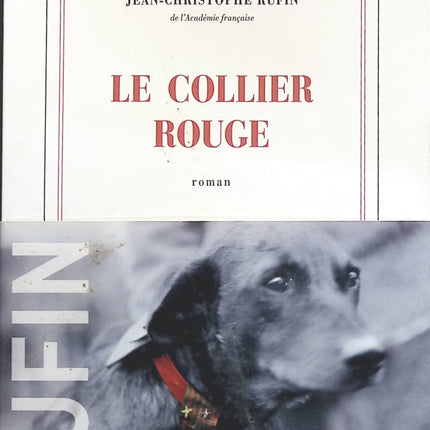 Someone Good - Françoise Bourdin - book