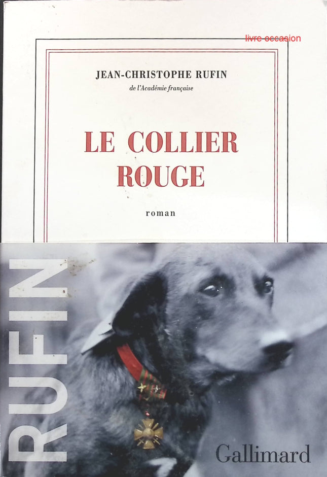 Jemand Gutes – Françoise Bourdin – Buch