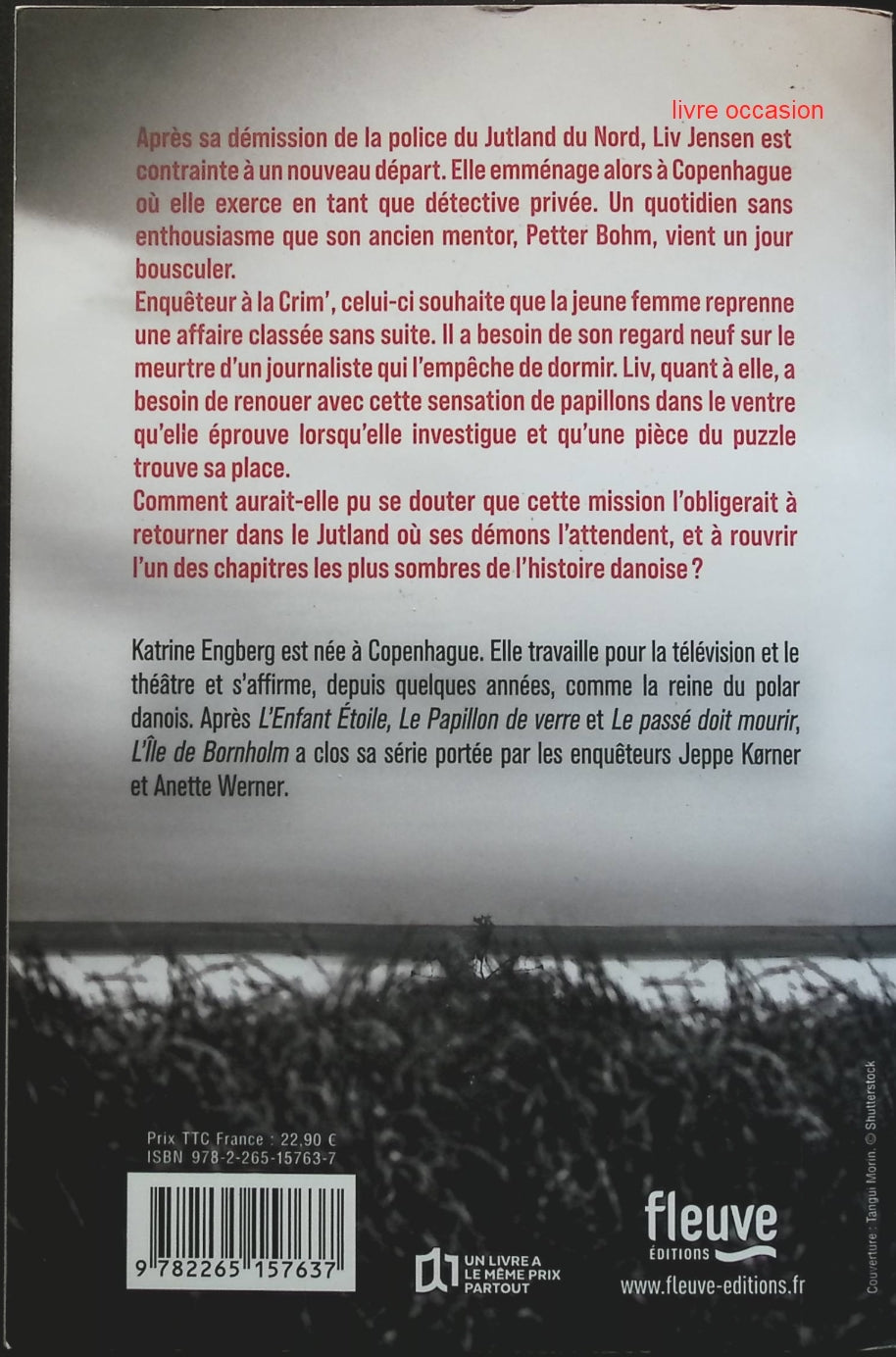 Someone Good - Françoise Bourdin - book