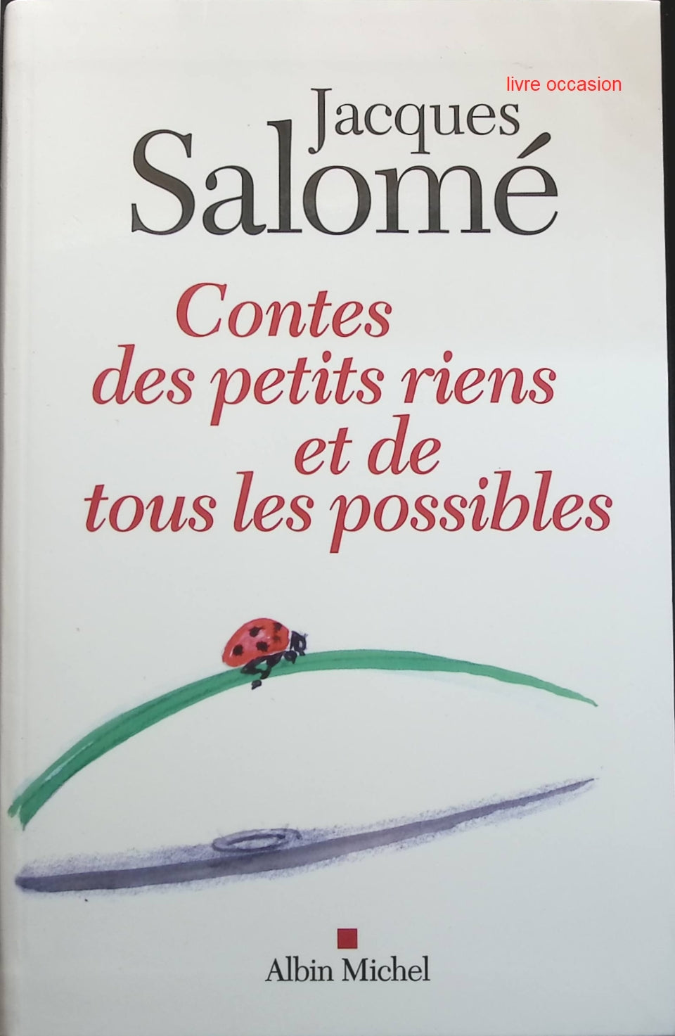 Someone Good - Françoise Bourdin - book