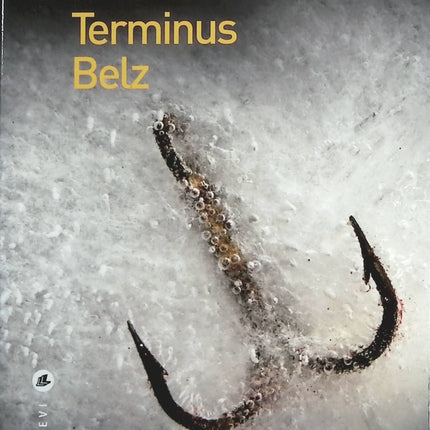 Terminus Belz - Emmanuel Grand - Livre
