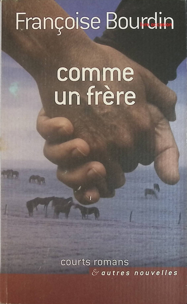Comme un frère - Françoise Bourdin - Livre