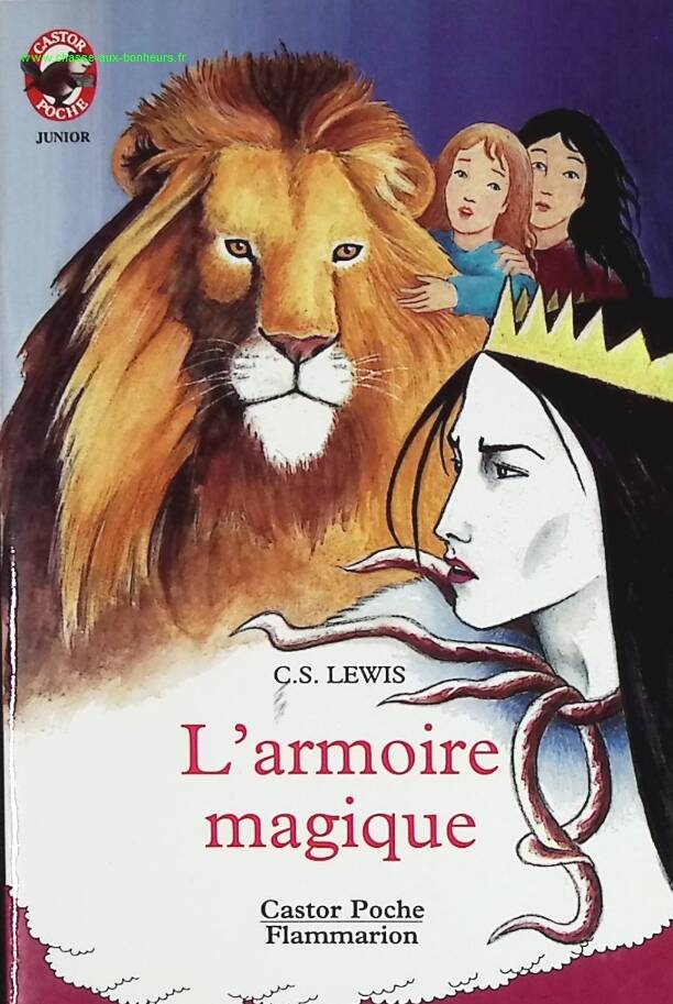 The Magic Wardrobe - CS Lewis - book