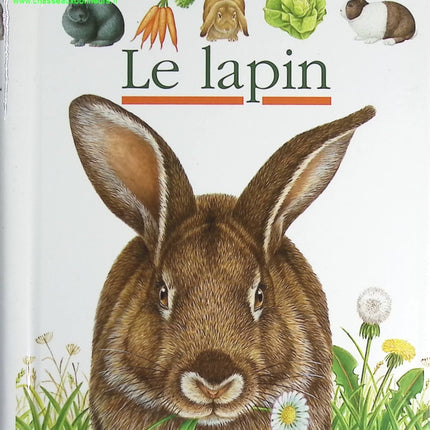 Le Lapin - Pierre Hugo - livre