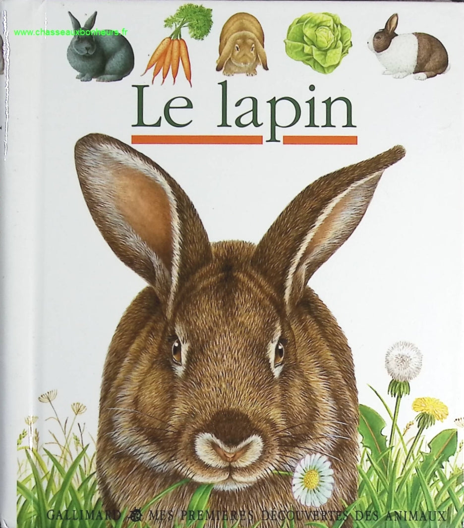 The Douai Notebooks - Arthur Rimbaud - 2023 - book