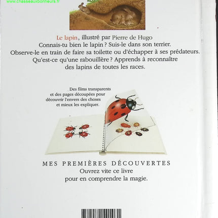 Le Lapin - Pierre Hugo - livre