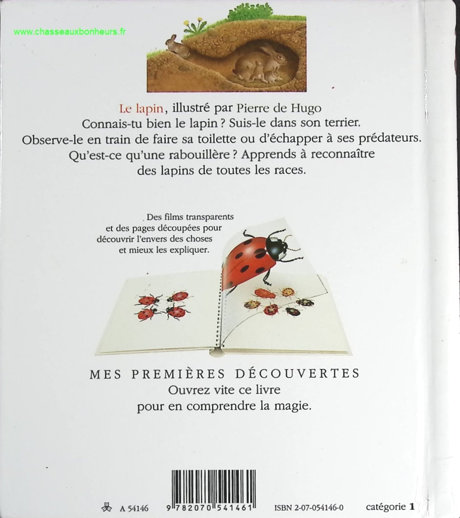 The Douai Notebooks - Arthur Rimbaud - 2023 - book