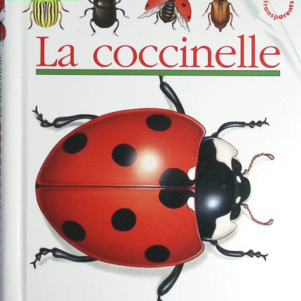 La Coccinelle - Pérols Sylvaine - livre