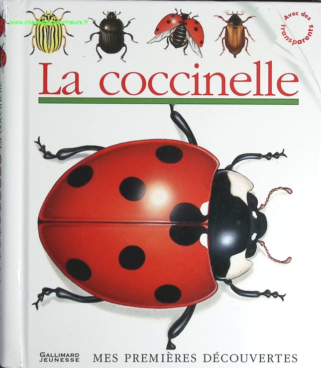 La Coccinelle - Pérols Sylvaine - livre