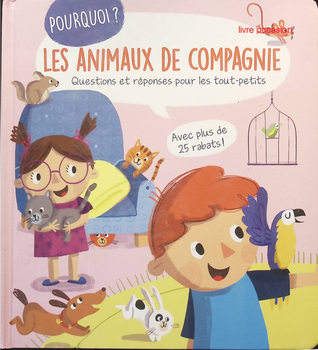 The Magic Treehouse Volume 4 - Pirate Treasure - Mary Pope Osborne - book