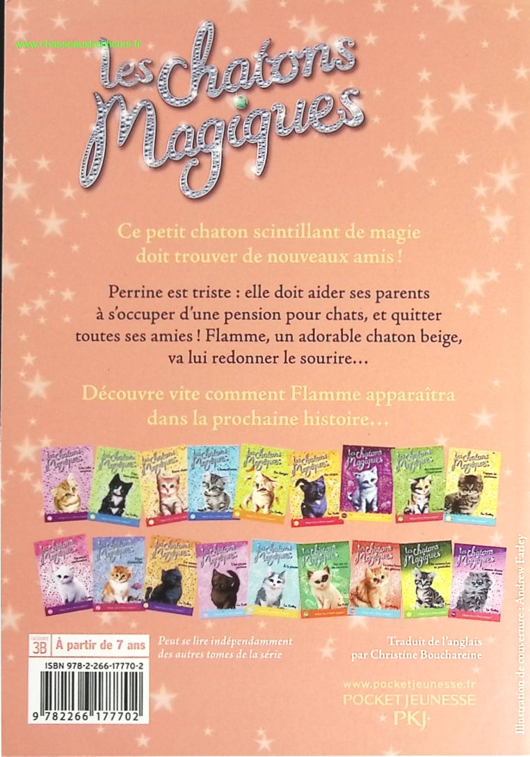 Temptation - Stephenie Meyer - Buch