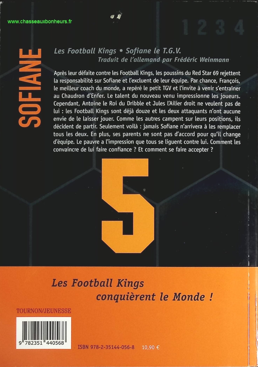 Temptation - Stephenie Meyer - Buch