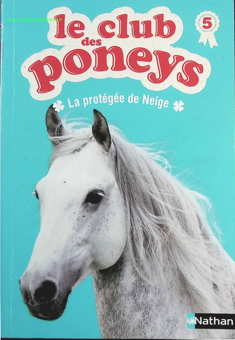 The Douai Notebooks - Arthur Rimbaud - 2023 - book