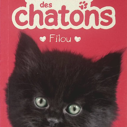 Le club des chatons - tome 6 - Filou - Lucy Diamond - Livre