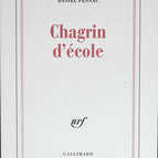 School Sorrow - Daniel Pennac - book
