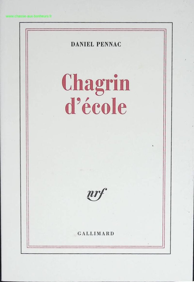 Schulkummer - Daniel Pennac - Buch
