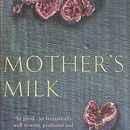 Mother's Milk – Edward St Aubyn – Roman anglais sur la famille, la maternité, les relations humaines et les tensions familiales - Livre en Anglais