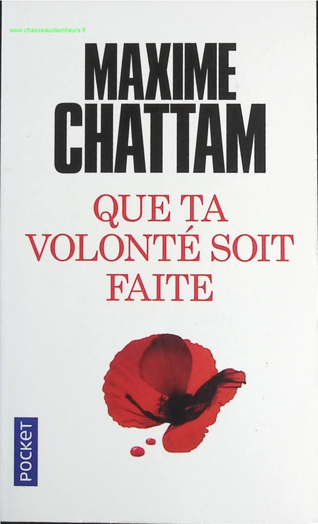 Someone Good - Françoise Bourdin - book