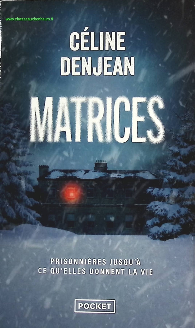 Matrices - Céline Denjean - livre
