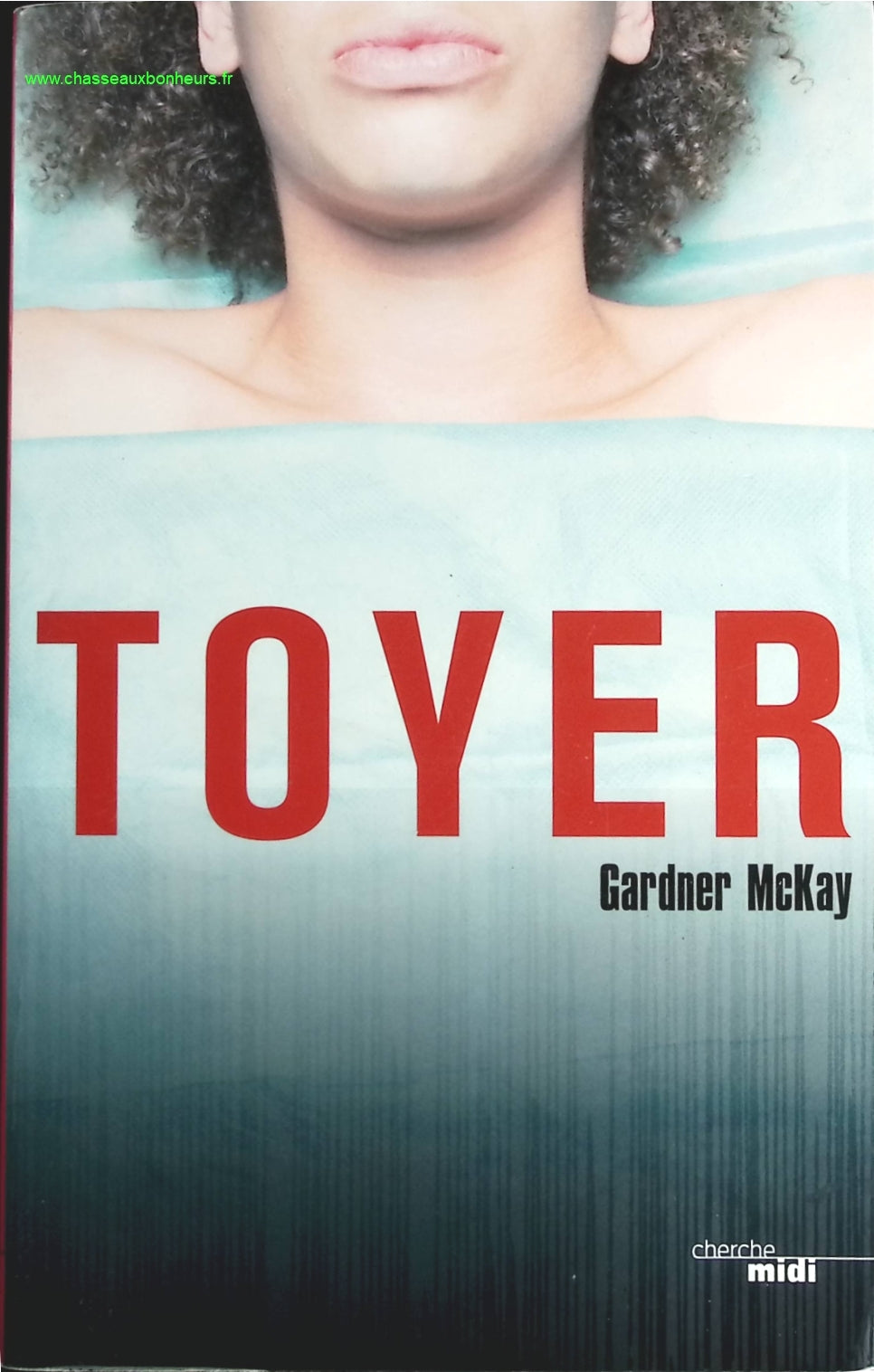 Temptation - Stephenie Meyer - Buch