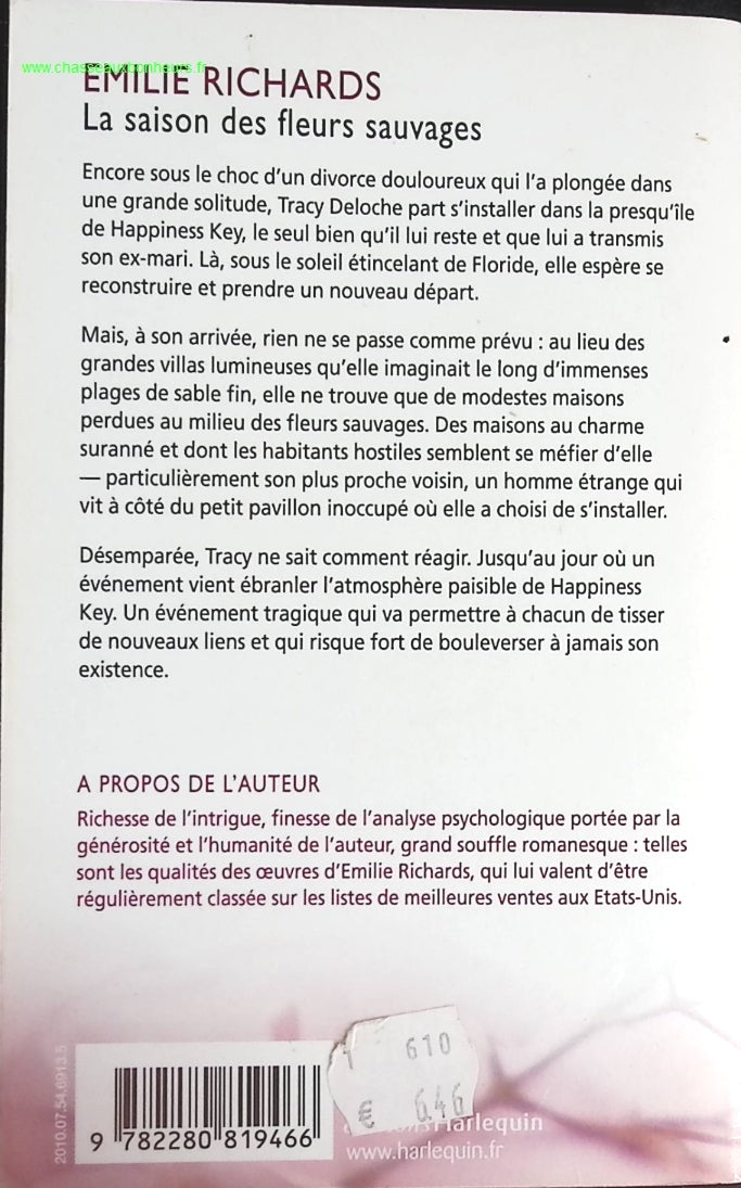 Someone Good - Françoise Bourdin - book