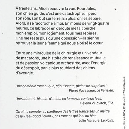 Jules - Didier Van Cauwelaert - livre