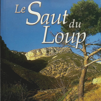Le saut du loup - Christian Laborie - livre