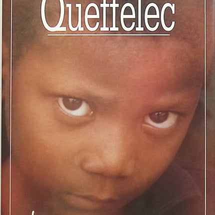 la menace - Yann Queffélec - livre