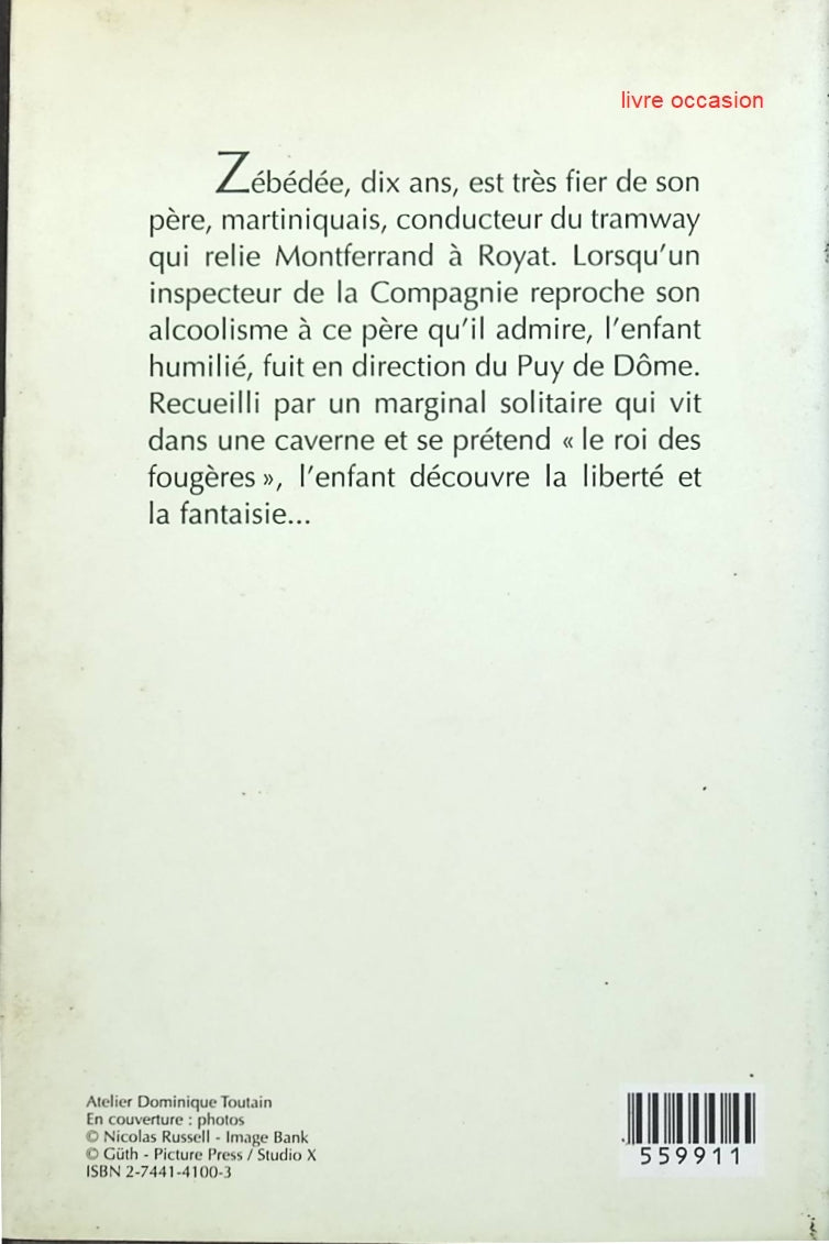 Le roi des fougères - Jean Anglade - livre