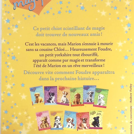Les chiots magiques - tome 12 - Des vacances de rêve - Sue Bentley - livre