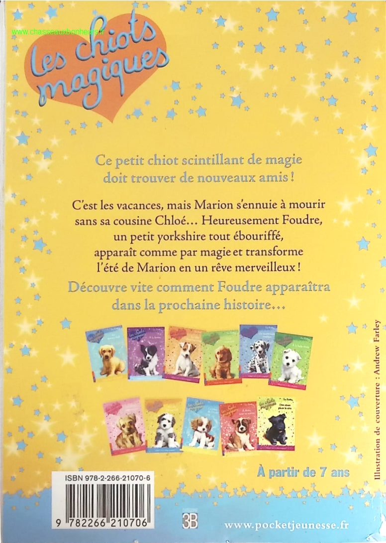 Someone Good - Françoise Bourdin - book