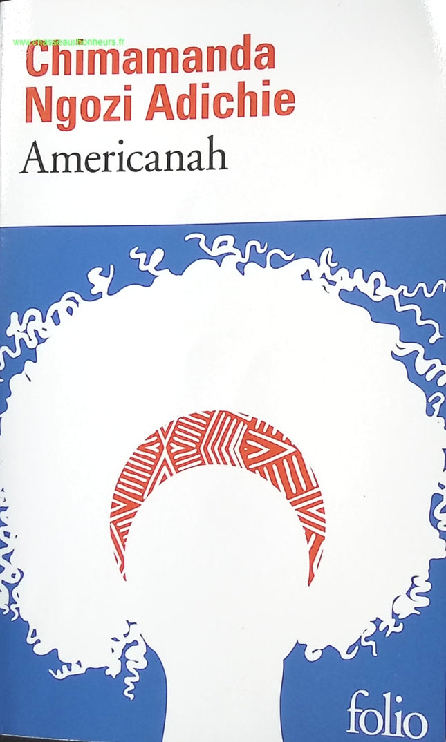 Americanah - Chimamanda Ngozi Adichie - livre