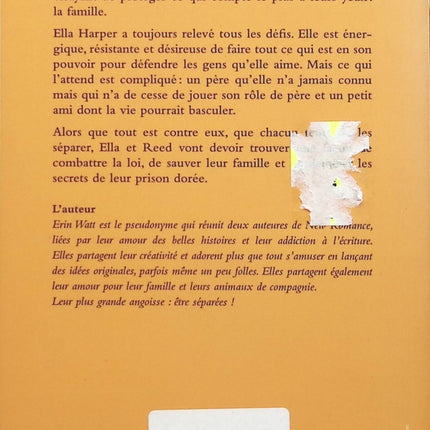 Das magische Baumhaus, Band 4 – Piratenschatz – Mary Pope Osborne – Buch