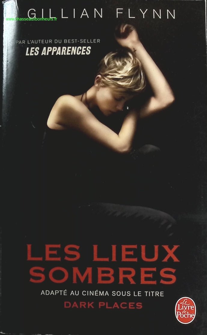 Dark Places - Gillian Flynn - book