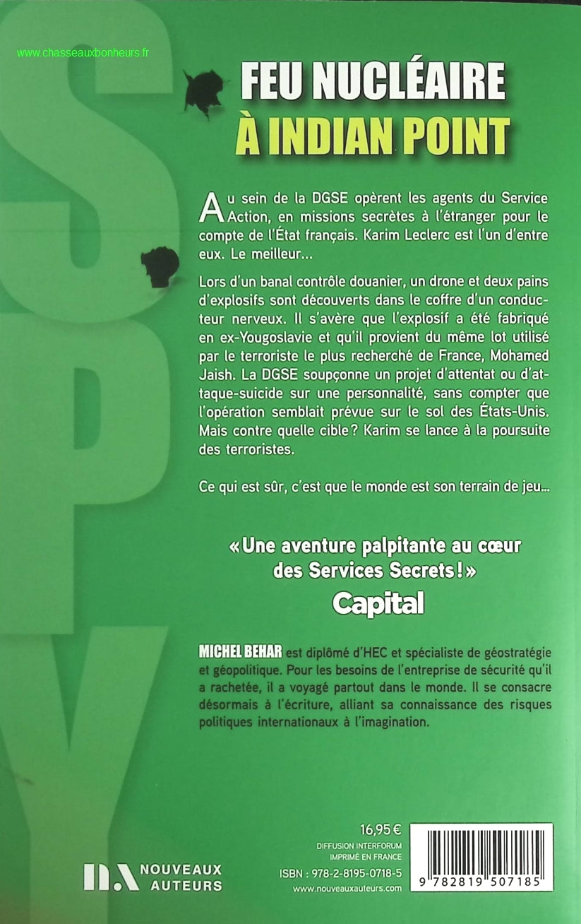 Someone Good - Françoise Bourdin - book