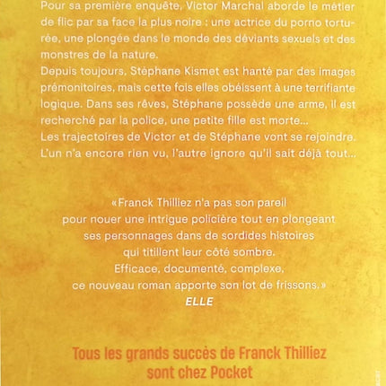 L’anneau de Moebius – Franck Thilliez thriller psychologique enquête criminelle mémoire amnésie suspense noir - Livre