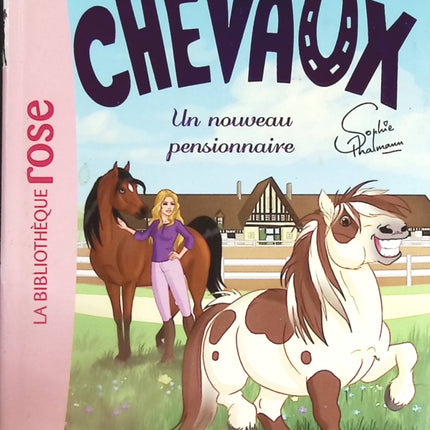 Someone Good - Françoise Bourdin - book