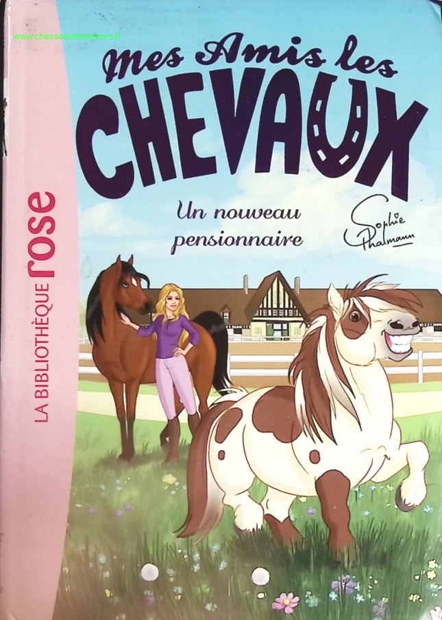 Someone Good - Françoise Bourdin - book