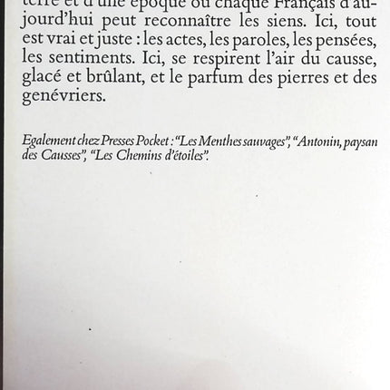 Someone Good - Françoise Bourdin - book