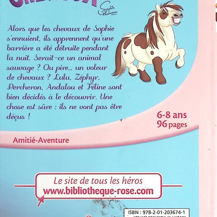 Someone Good - Françoise Bourdin - book