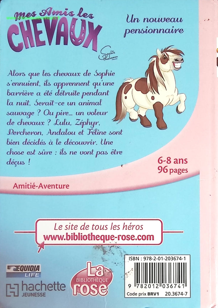 Someone Good - Françoise Bourdin - book