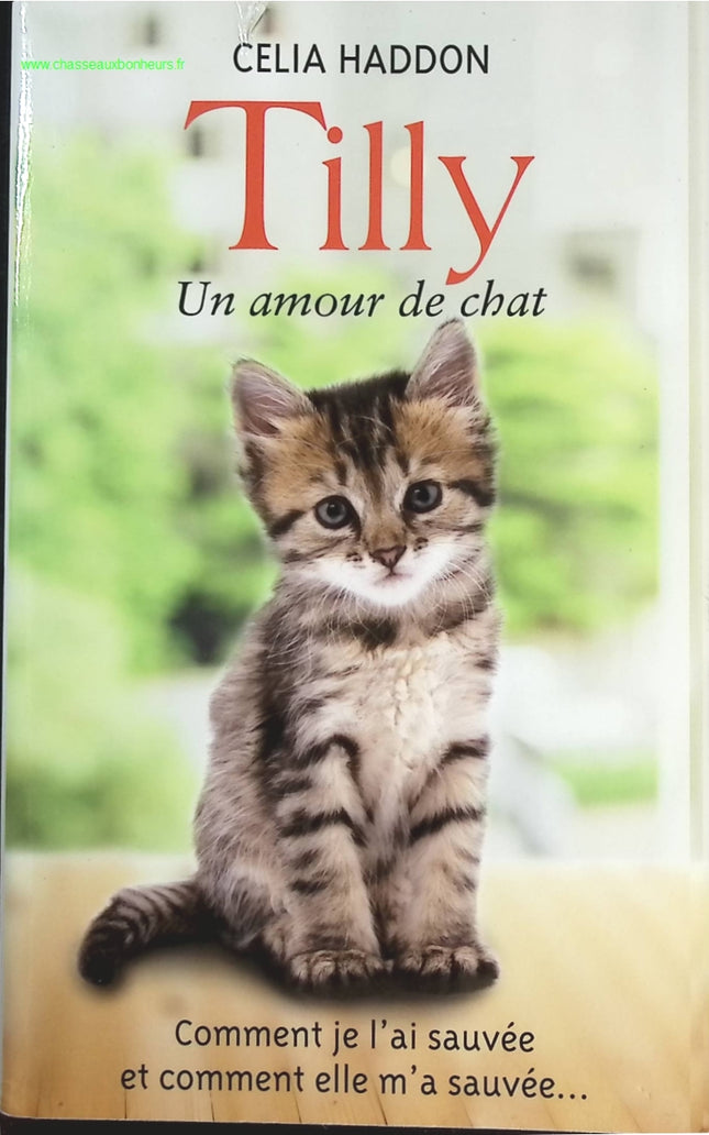 Jemand Gutes – Françoise Bourdin – Buch