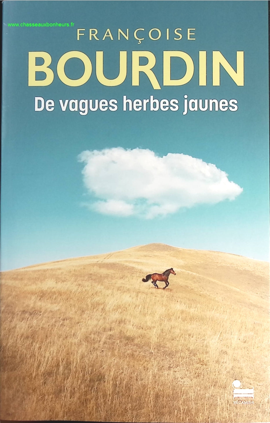 Someone Good - Françoise Bourdin - book