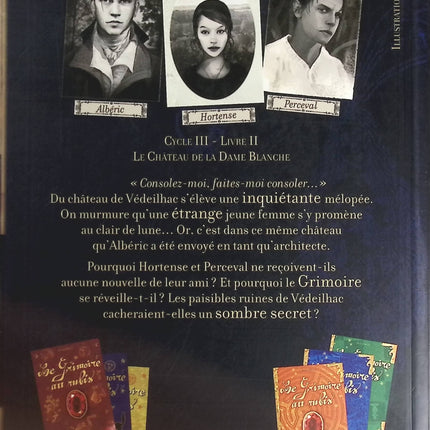 Le Château de la Dame Blanche - Béatrice Bottet - livre