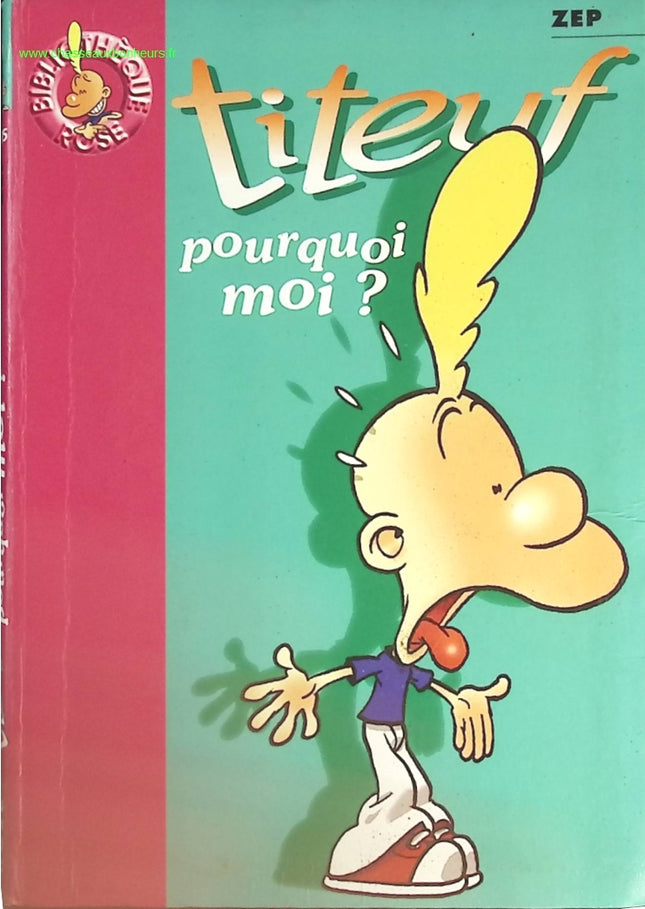 Someone Good - Françoise Bourdin - book