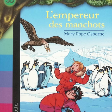 The Magic Treehouse Volume 4 - Pirate Treasure - Mary Pope Osborne - book