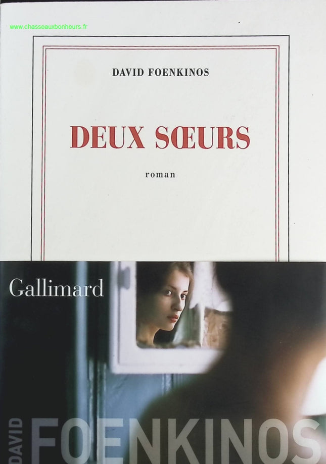 Deux sœurs - David Foenkinos - Livre