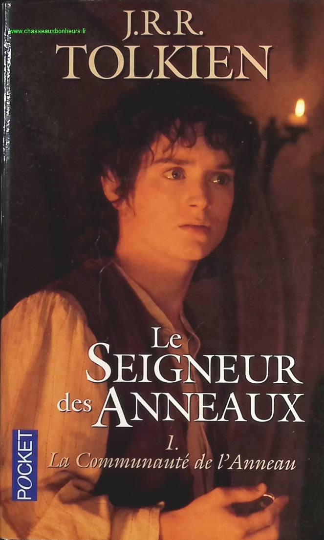 Someone Good - Françoise Bourdin - book