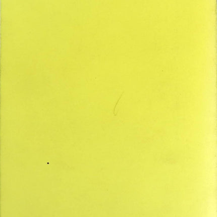 Die Douai-Notizbücher - Arthur Rimbaud - 2023 - Buch